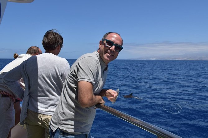 2-Hour Dolphin and Whale Watching in Gran Canaria - Setting out from Puerto Rico