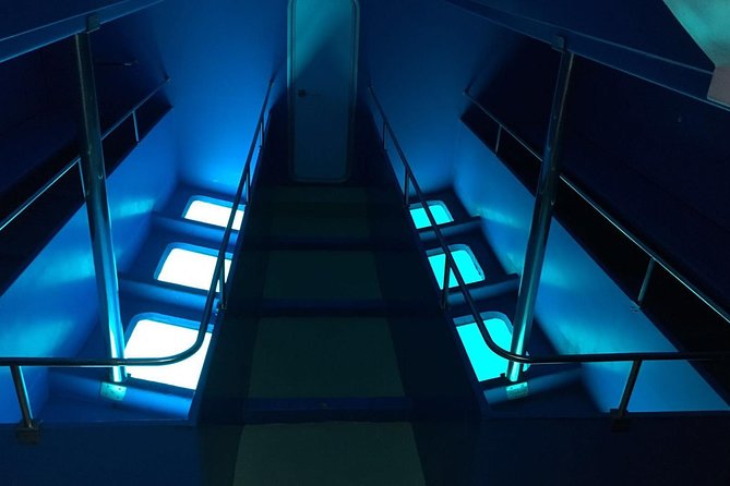 2-Hour Dolphin and Whale Watching in Gran Canaria - The onboard bar and what to bring