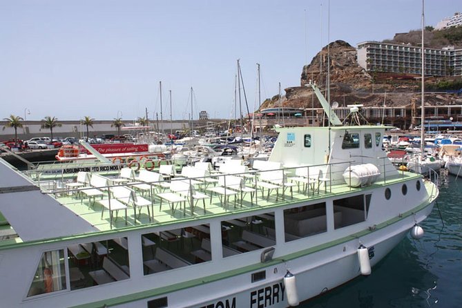 2-Hour Dolphin and Whale Watching in Gran Canaria - Who will enjoy this boat trip most