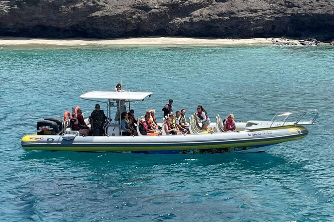 2h Dolphin and Whale Viewing + Snorkeling Tour - A fast start from Puerto del Morro Jable