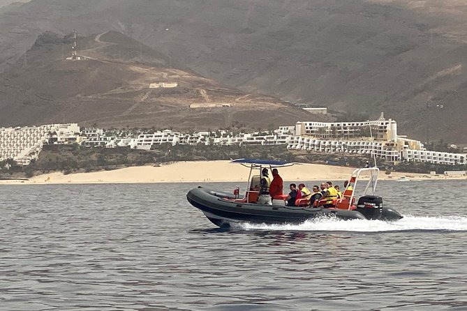 2h Dolphin and Whale Viewing + Snorkeling Tour - Is the $62.88 price good value?