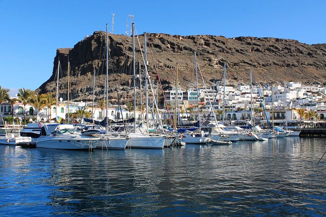 3h Boat Trip + Snorkeling in Puerto de Mogan - Booking and cancellation details that matter