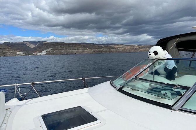 4 Hour Boat Tour with Snorkeling from Puerto Rico and Mogan - What lunch and drinks add to the day
