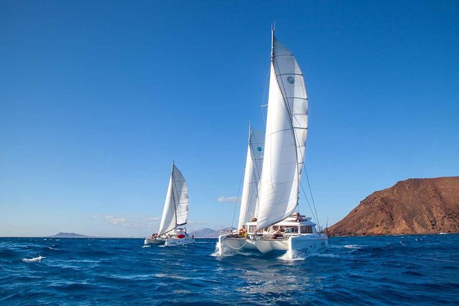 4-Hour Sailing Tour of Lobos Island from Fuerteventura - What the price really includes