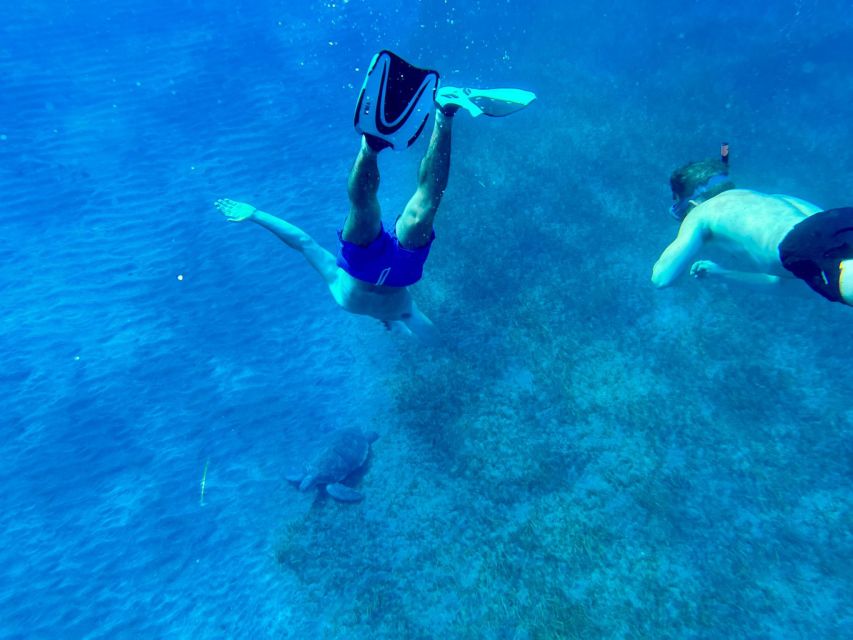 Abades: Guided Snorkeling Tour with Photos - Practical tips for a smoother morning or afternoon