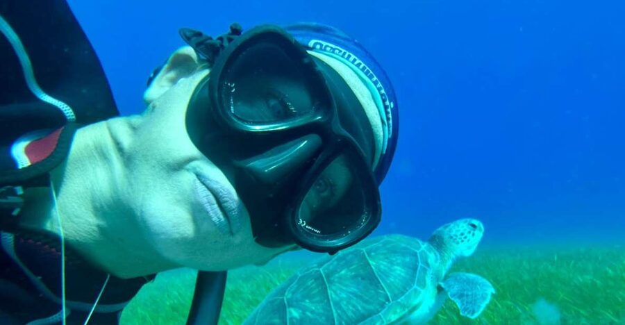 Abades: Guided Snorkeling Tour with Photos - Fish, volcanic rock, and the first underwater stop