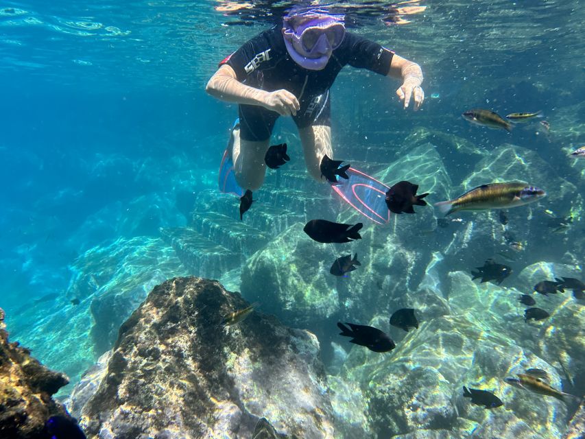 Abades: Guided Snorkeling Tour with Photos - Is $35 a fair price?