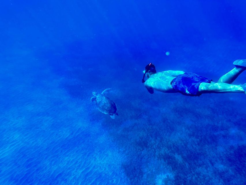 Abades: Guided Snorkeling Tour with Photos - Why the small group matters at Playa Abades