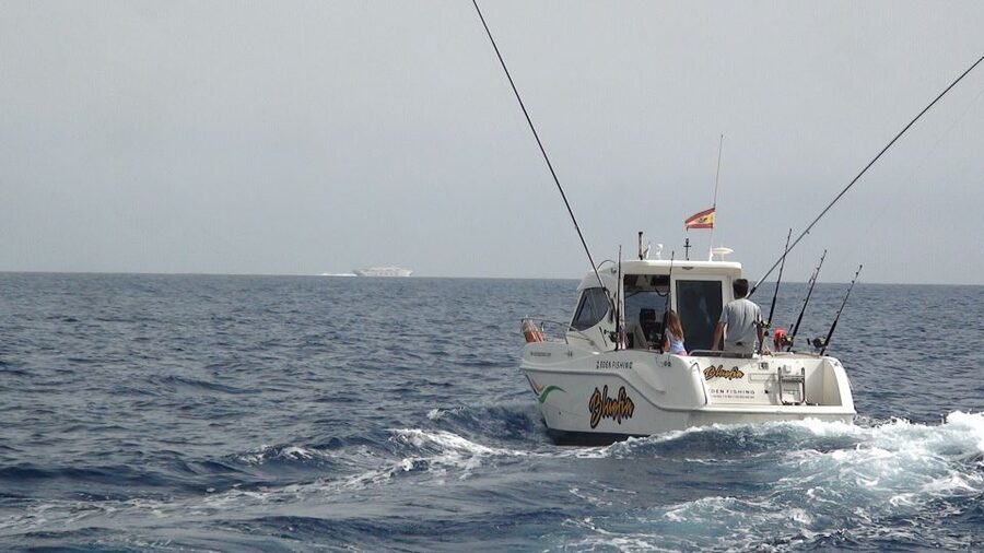 Adeje: 3.5–Hour Professional Fishing Experience - Fishing from Puerto Colón for 3.5 hours