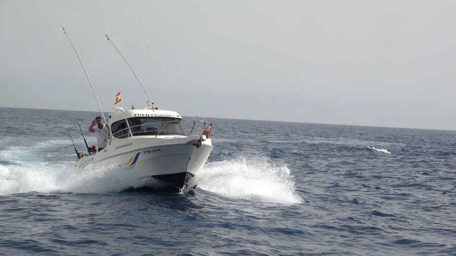 Adeje: 3.5–Hour Professional Fishing Experience - The captain’s role matters