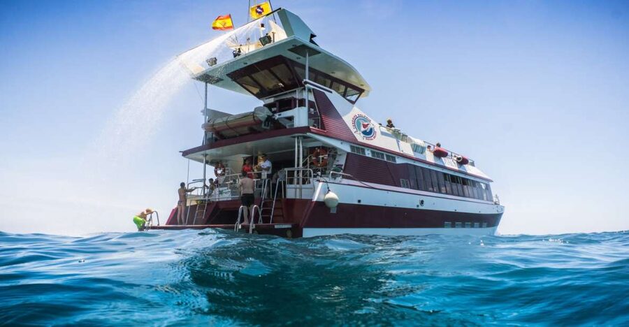 Adeje: Whale and Dolphin Watching Cruise with Lunch and Swim - Choosing the three-hour Diego Hernandez Bay cruise