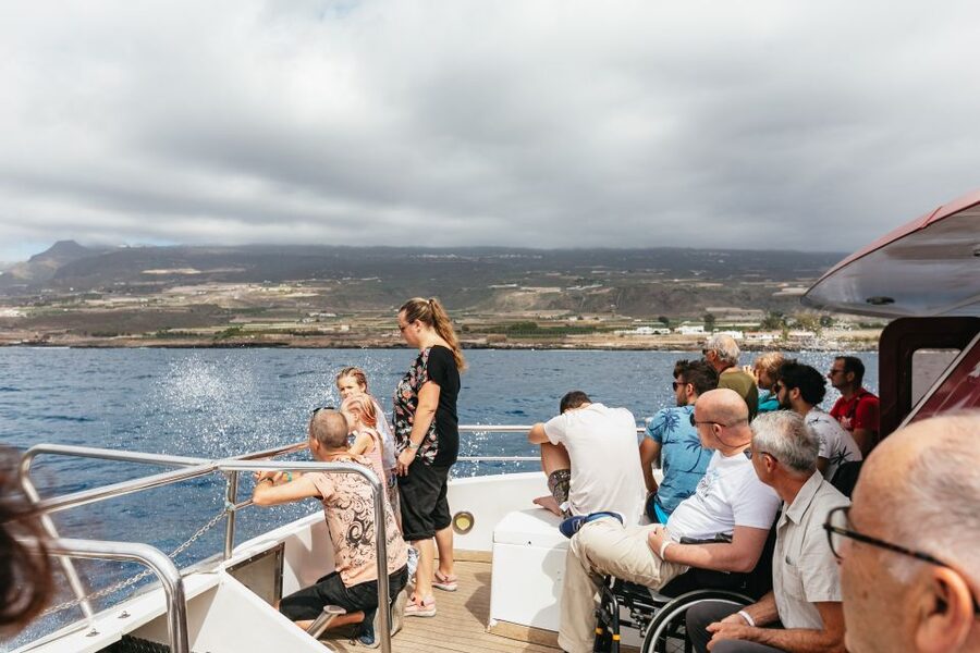 Adeje: Whale and Dolphin Watching Cruise with Lunch and Swim - Watching whales and dolphins without a chase