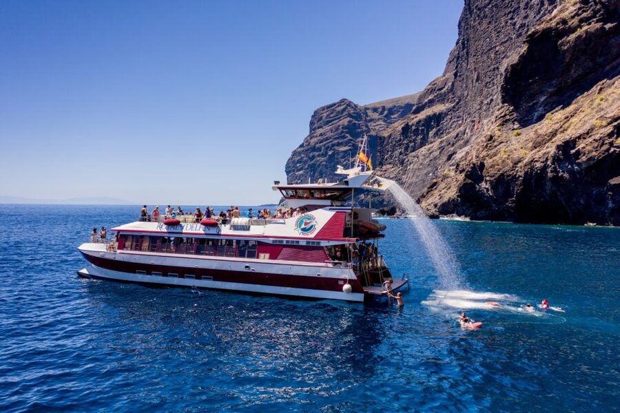 Adeje: Whale and Dolphin Watching Cruise with Lunch and Swim - The swim stop and what to bring