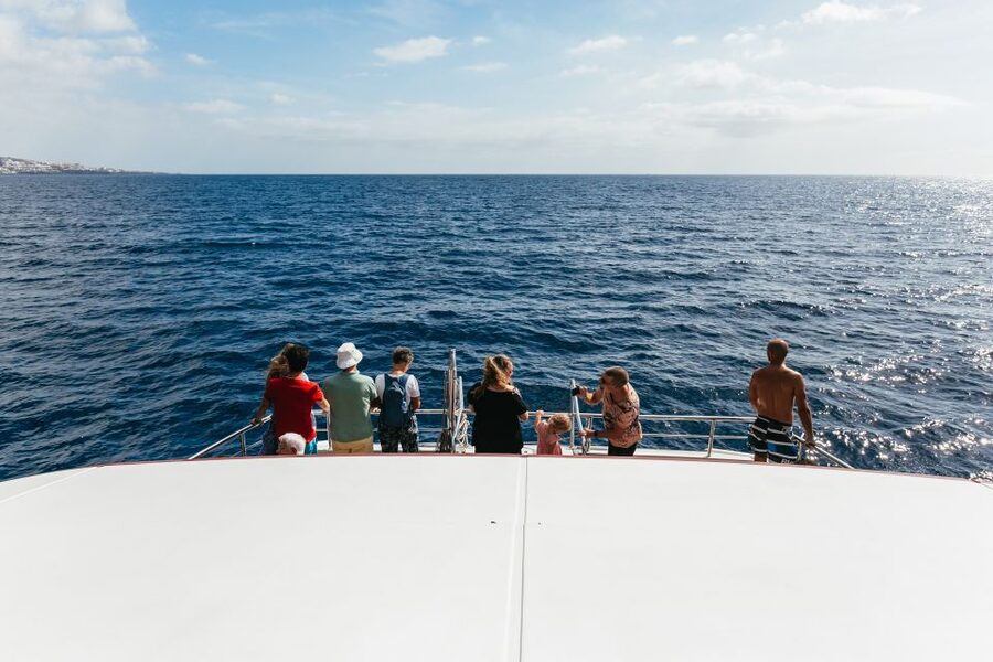 Adeje: Whale and Dolphin Watching Cruise with Lunch and Swim - Motion sickness, accessibility, and family suitability