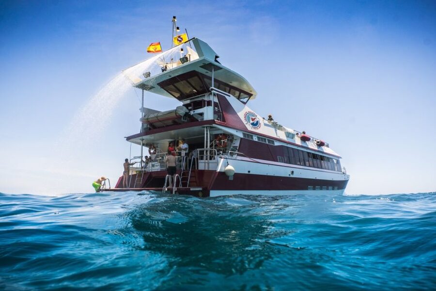 Adeje: Whale and Dolphin Watching Cruise with Lunch and Swim - Leaving Puerto Colón and finding your place onboard