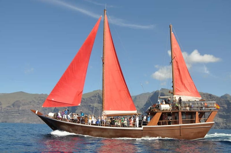 Adeje: Whale Watching Tour to Los Gigantes with lunch & swim - Setting out from Puerto Colón at 11:00