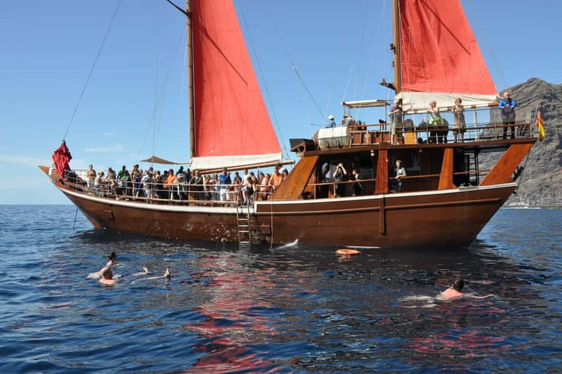Adeje: Whale Watching Tour to Los Gigantes with lunch & swim - What the $63 price really covers