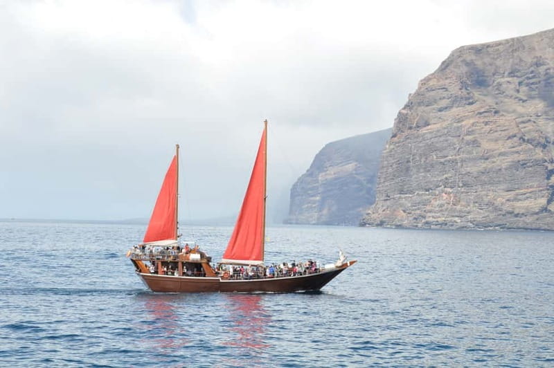 Adeje: Whale Watching Tour to Los Gigantes with lunch & swim - Who will enjoy this boat trip most