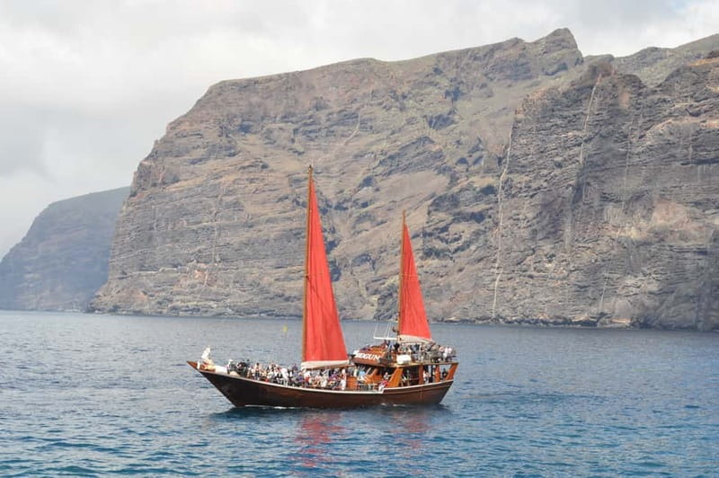 Adeje: Whale Watching Tour to Los Gigantes with lunch & swim - Looking for dolphins and pilot whales off Tenerife