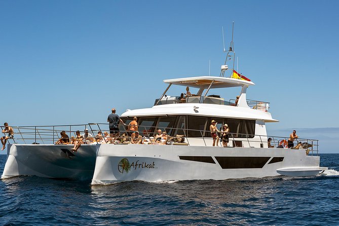 Afrikat Afternoon Cruise - Optional water sports and their real cost