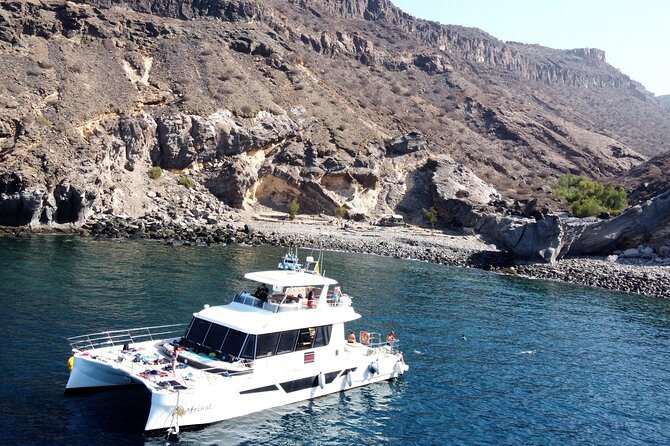 Afrikat Morning Cruise - Key points before you book