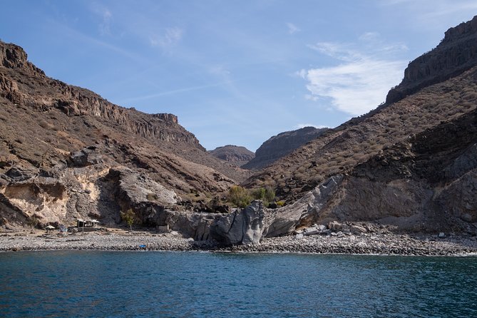 Afrikat Morning Cruise - Who will enjoy the Afrikat most