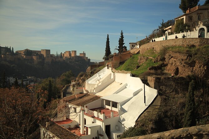 Albaicin & Sacramonte Electric Bike Tour in Granada - Who should book this Granada e-bike tour