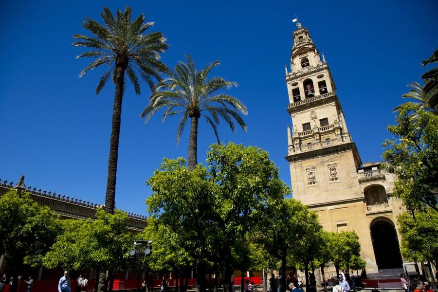 Alcazar of Cordoba Entry Ticket and Guided Tour - The Salon de los Mosaicos and the indoor rooms
