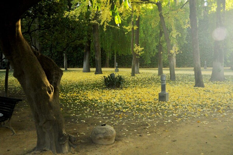 Alcázar of Seville Skip-the-Line Tickets and Guided Tour - How long is 1.5 hours?