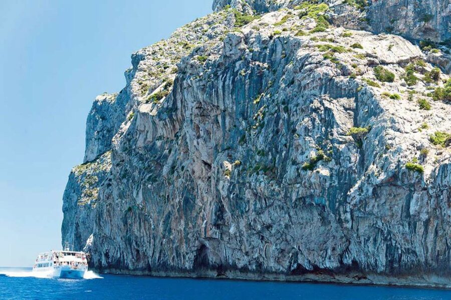 Alcudia: Boat Trip to Cap de Formentor and Formentor - Passing Aucanada, Coll Baix, and Cap des Pinar