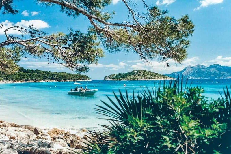 Alcudia: Formentor Beach, Lighthouse Cruise, and Small Group - Es Coll Baix and the first swim