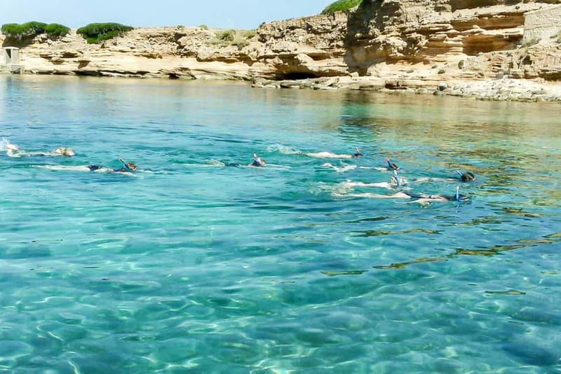 Alcudia: Formentor Beach, Lighthouse Cruise, and Small Group - What to bring and how to prepare