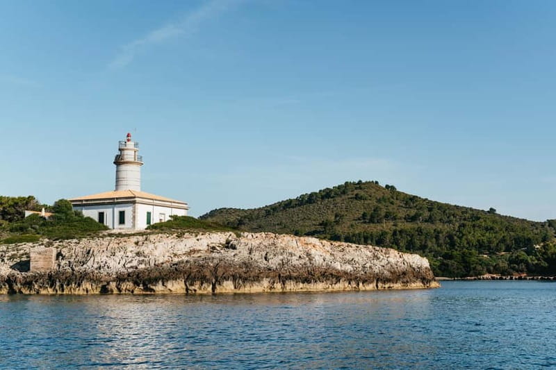 Alcudia or Can Picafort: Dolphin-Watching Cruise - Dolphins off Mallorca’s north coast