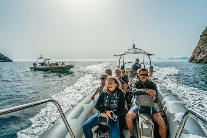 Alcudia or Can Picafort: Dolphin-Watching Cruise - Weather, cancellation, and flexibility