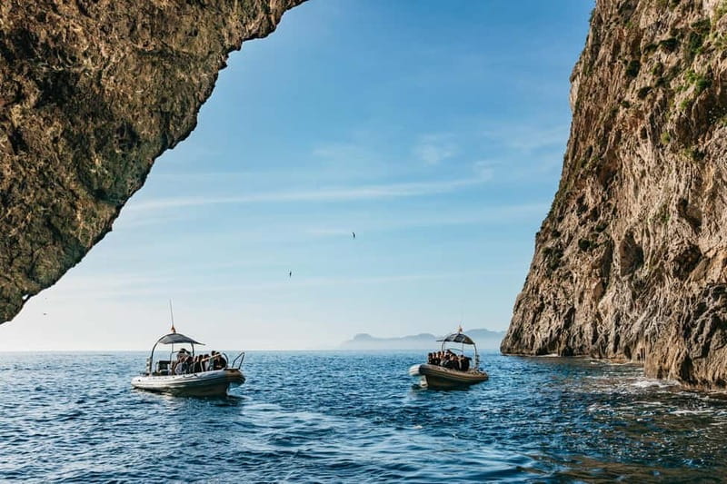 Alcudia or Can Picafort: Dolphin-Watching Cruise - Sea caves and the coast from the water