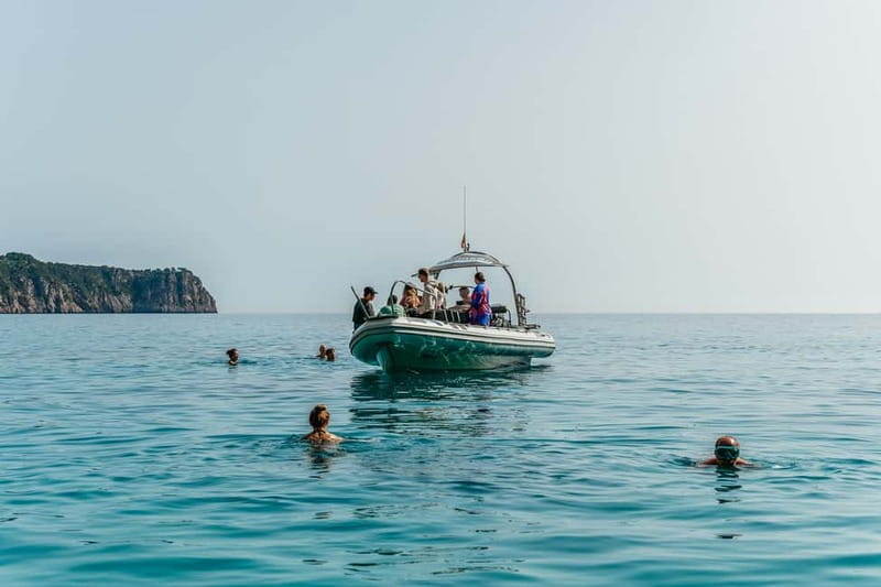 Alcudia or Can Picafort: Dolphin-Watching Cruise - Swimming at Es Coll Baix