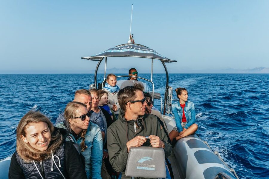 Alcudia or Can Picafort: Dolphin-Watching Cruise - What the $91 price covers