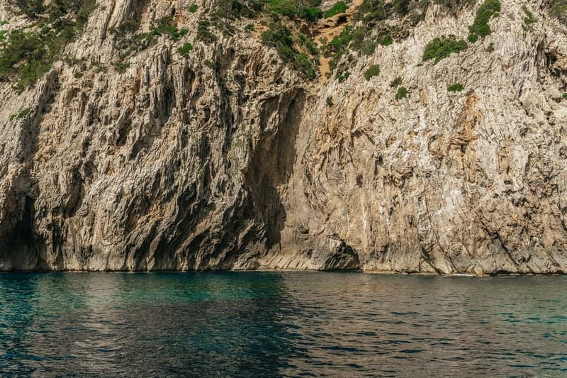 Alcudia or Can Picafort: Dolphin-Watching Cruise - Meeting in Alcudia or adding a transfer