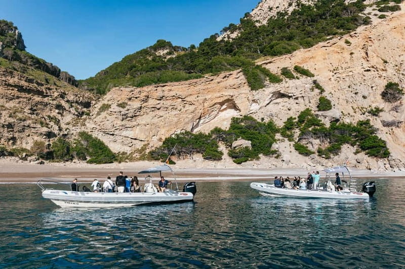 Alcudia or Can Picafort: Dolphin-Watching Cruise - Practical tips for a better morning