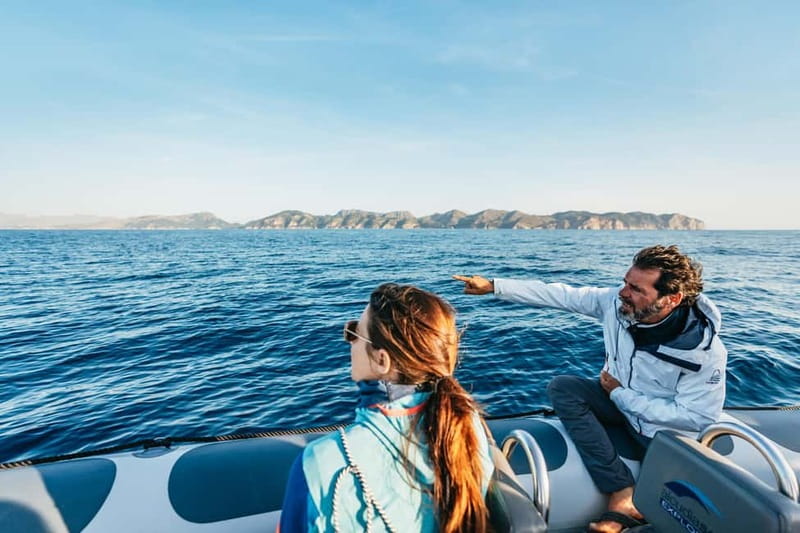Alcudia or Can Picafort: Dolphin-Watching Cruise - The high-speed ride to Cabo Formentor
