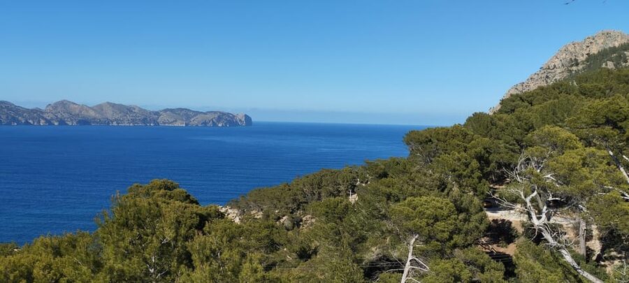 Alcudia: Quad Sightseeing Tour with Viewpoints - Should you book it?