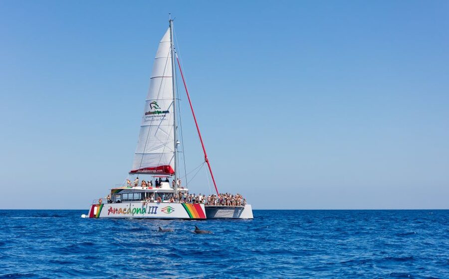 Alcudia: Sunset Catamaran Tour with Dinner and Snorkeling - A quiet cove with 90 minutes for water time