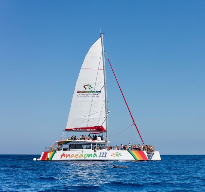 Alcudia: Sunset Catamaran Tour with Dinner and Snorkeling - Returning under sail to Alcudia