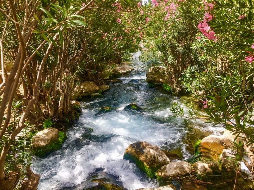 Algar Waterfalls Coach Trip - From Albir & Benidorm - Food, drinks, and time outside the pools
