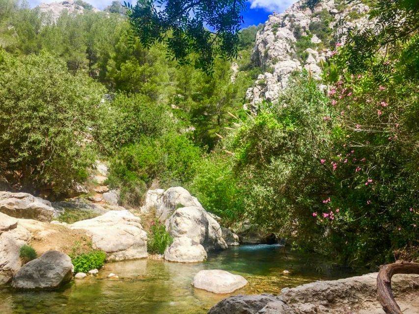 Algar Waterfalls Coach Trip - From Albir & Benidorm - Crowds, timing, and seasonal conditions