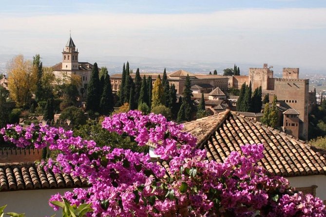 Alhambra &Charles Palace Guided Tour with Optional Nasrid Palaces - Timing changes and the need to check your messages