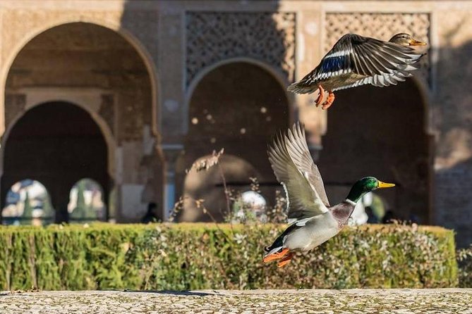 Alhambra Private/Small Group Tour & Nasrid Palaces Skip the Line - Is $107.63 a fair price?