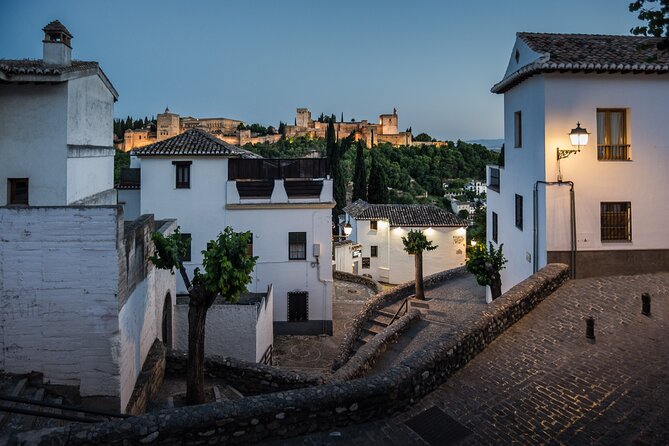 Alhambra with Nazaries Palaces Private Tour - Charles V’s Palace and the Christian Chapter