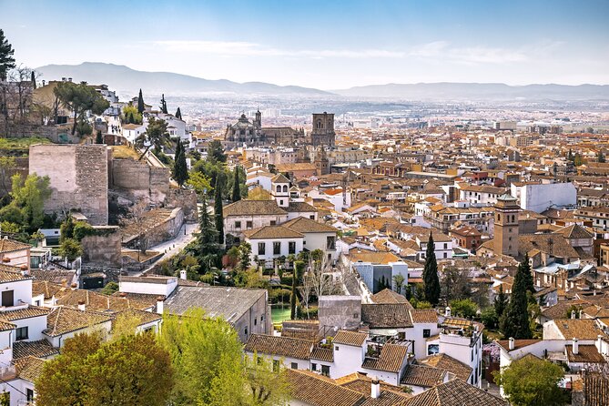 Alhambra with Nazaries Palaces Private Tour - Pace, Walking, and Family Practicalities