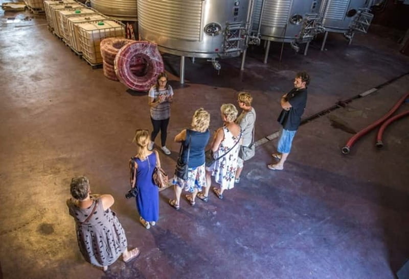 Alicante: Countryside Wine Tour with 4 Tastings - Leaving Alicante for the Vinalopó wine country